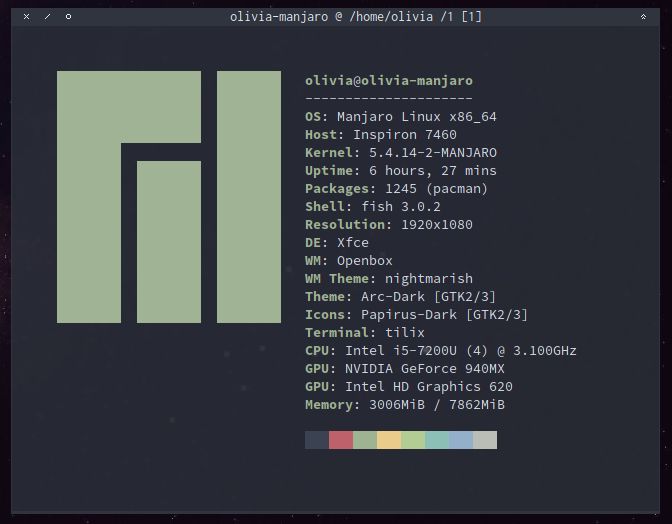 screenshot do terminal com resultado do comando neofetch